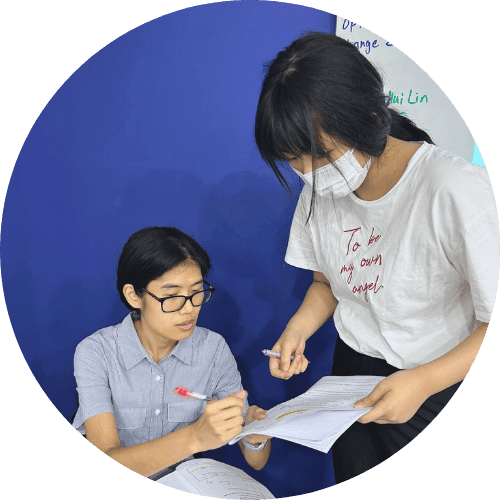 Image 10: bluetree intensive p5 p6 psle preparation tuition